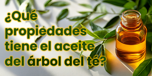 ¿Qué propiedades tiene el aceite árbol del té? 